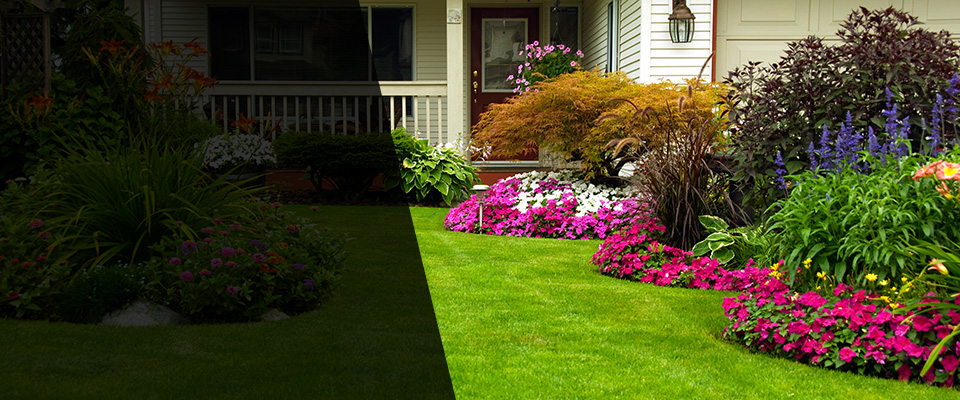 Orland Park Landscapers